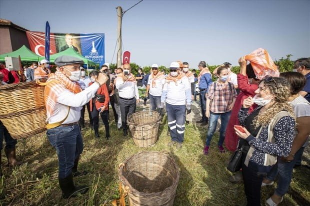 Çiftçiler Günü’nde Başkan Soyer Sırtında Küfeyle Enginar Hasadına Katıldı - KiraHaber